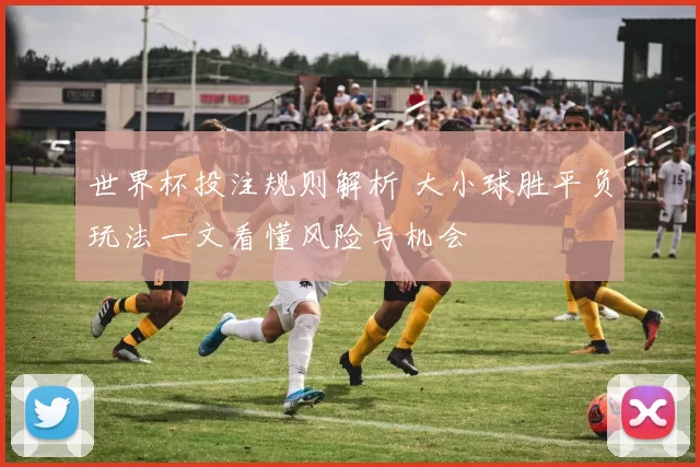 世界杯投注规则解析 大小球胜平负玩法一文看懂风险与机会