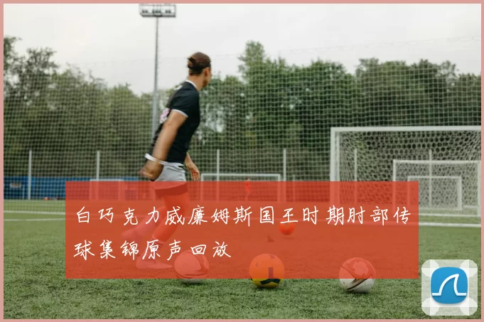 白巧克力威廉姆斯国王时期肘部传球集锦原声回放