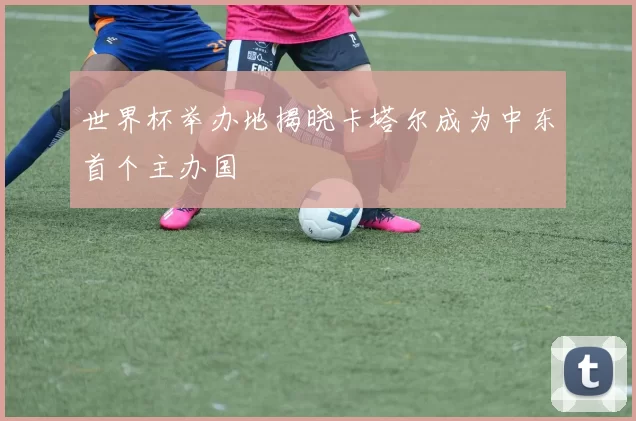 世界杯举办地揭晓卡塔尔成为中东首个主办国