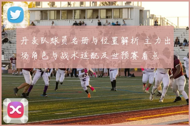 丹麦队球员名册与位置解析 主力出场角色与战术适配及世预赛看点