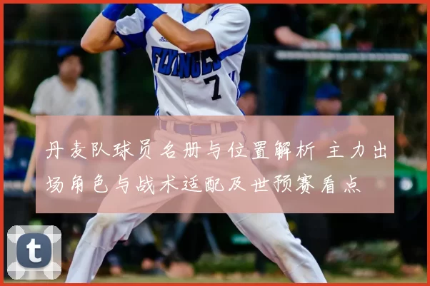 丹麦队球员名册与位置解析 主力出场角色与战术适配及世预赛看点