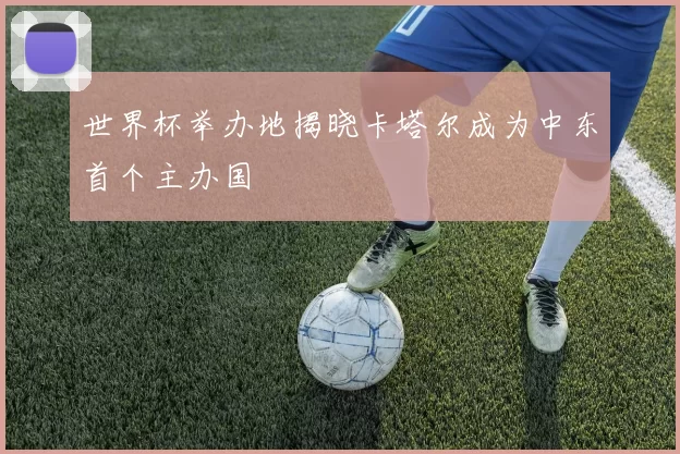 世界杯举办地揭晓卡塔尔成为中东首个主办国